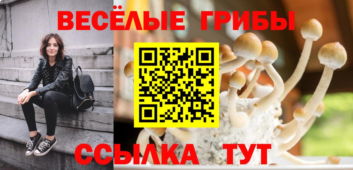 Псилоцибиновые грибы MAGIC MUSHROOMS  купить закладку  Псилоцибиновые грибы Magic Shrooms  Буйнакск  Вход с VPN 