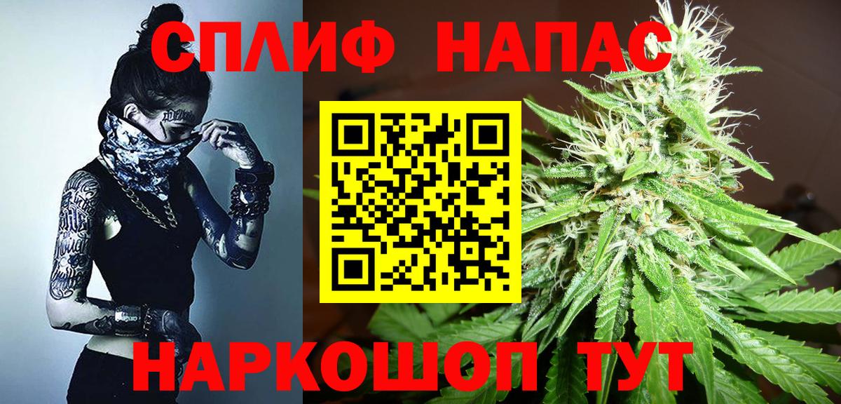 МАРИХУАНА сатива Буйнакск